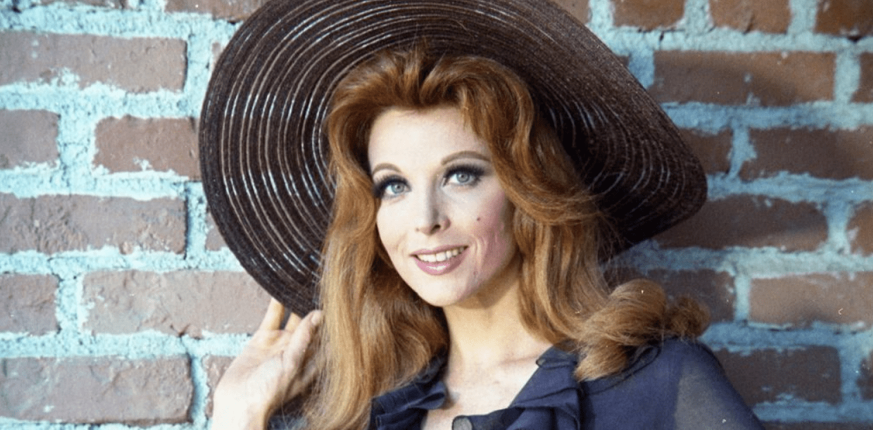 Tina Louise Net Worth